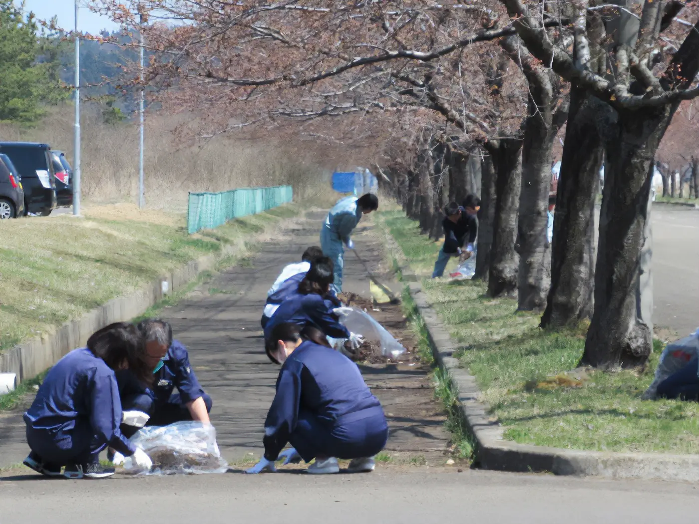 能代工業団地 桜並木クリーンアップ活動（秋田県能代市）の実施