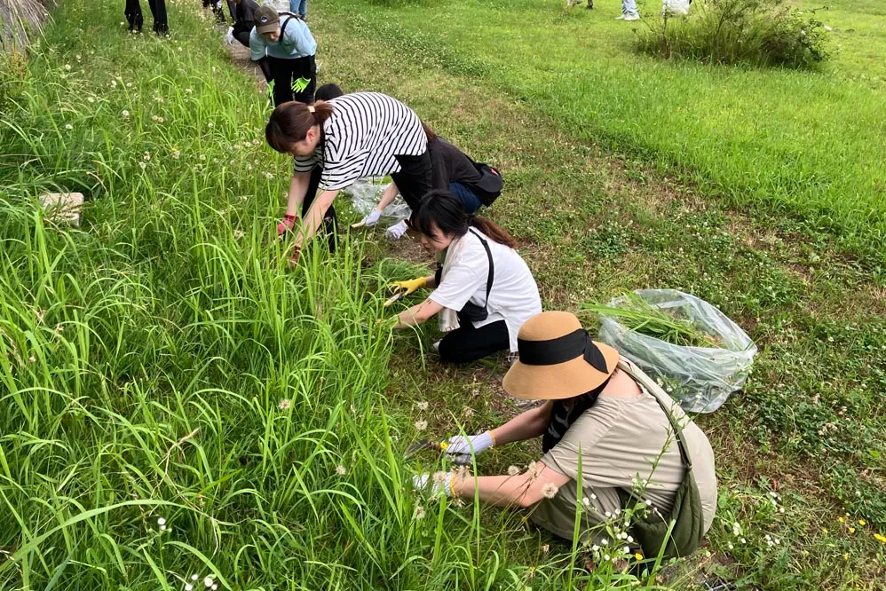 鶴岡クリーン大作戦