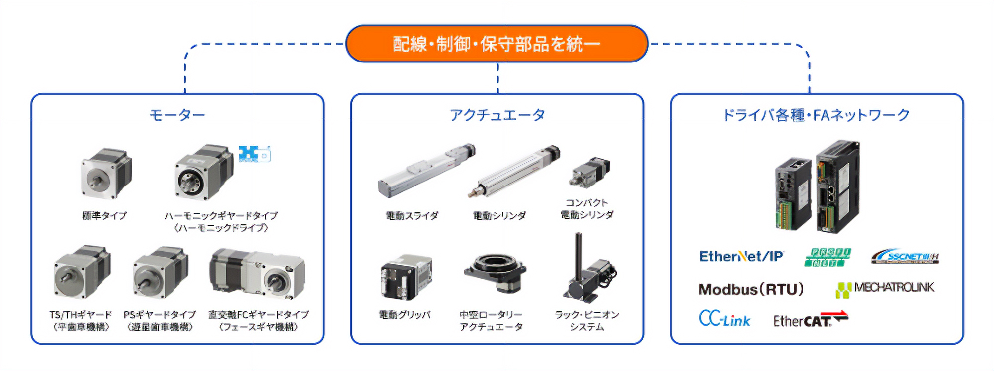 ラインアップ