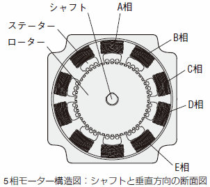 5相モーター構造図：シャフトと垂直方向の断面図