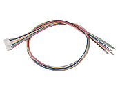 LC09A-006